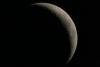 img_8122_t1.jpg